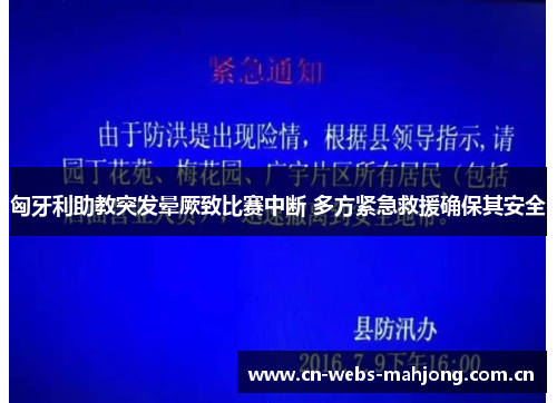 匈牙利助教突发晕厥致比赛中断 多方紧急救援确保其安全 匈牙利助教突发晕厥致比赛中断 多方紧急救援确保其安全
